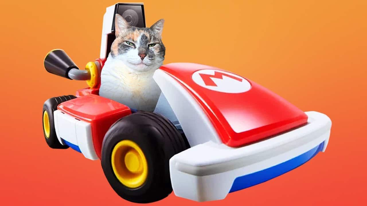 No os perdáis este nuevo vídeo que enfrenta Mario Kart Live: Home Circuit vs. gatos
