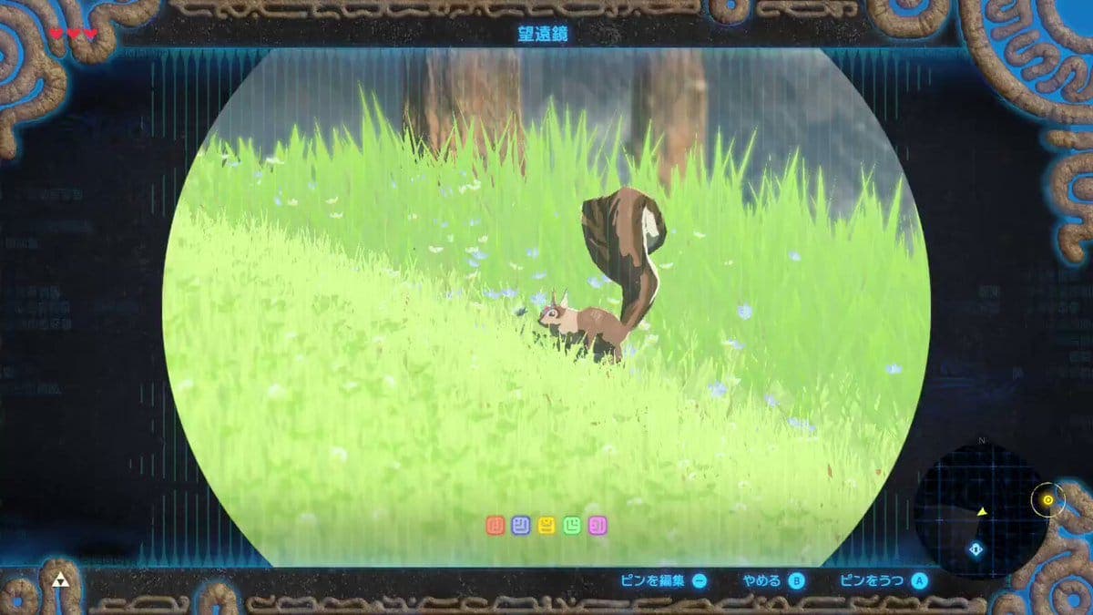 ¿Sabías que puedes alimentar a las ardillas en Zelda: Breath of the Wild? Este vídeo nos lo muestra