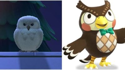 10 preguntas existenciales aún sin respuestas en Animal Crossing: New Horizons