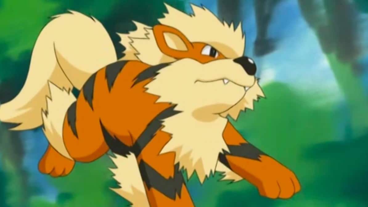 Pokémon: Este TikTok muestra la transformación de un cachorro en un Arcanine