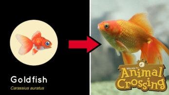 Así son los peces de Animal Crossing: New Horizons en la vida real