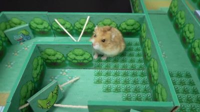 Esta es la original casa basada en Pokémon Rojo Fuego y Verde Hoja que un fan ha creado para su hamster