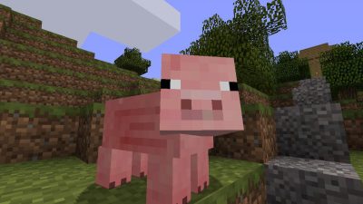 Un estudio muestra la capacidad de los cerdos para aprender a jugar a videojuegos