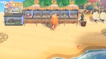 Vídeo nos muestra ideas de decoración para las playas de Animal Crossing: New Horizons