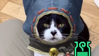 Monster Hunter Rise confirma una peculiar colaboración con TikTok