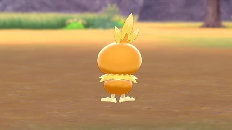 La cuenta oficial de Pokémon de Japón nos recuerda la pequeña diferencia que existe entre Torchic macho y hembra