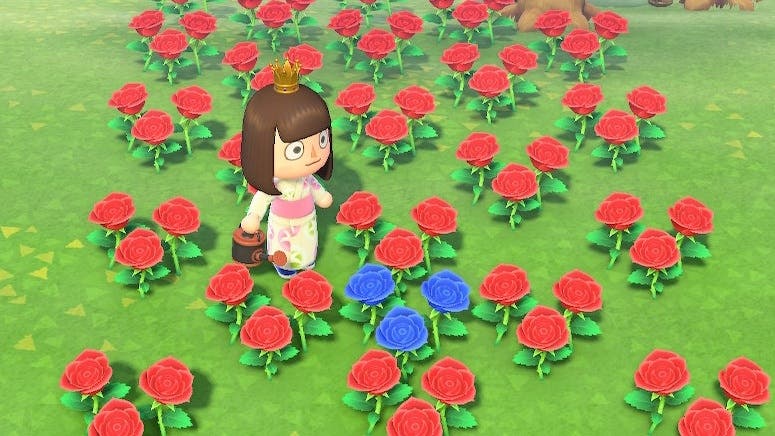 ¿Aún sin rosas azules en Animal Crossing: New Horizons? Método para conseguirlas con un 25% de probabilidad