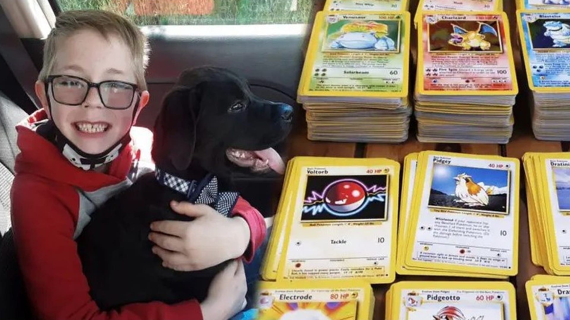 Un niño de 8 años vende toda su colección del JCC Pokémon para poder pagar una cirugía a su perro