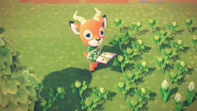 Dataminers encuentran referencias de nuevos objetos para los vecinos en Animal Crossing: New Horizons