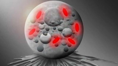 Investigadores de la Universidad de Colonia llaman Pokemonas a una nueva clase de bacteria por su similitud con las Poké Balls de Pokémon