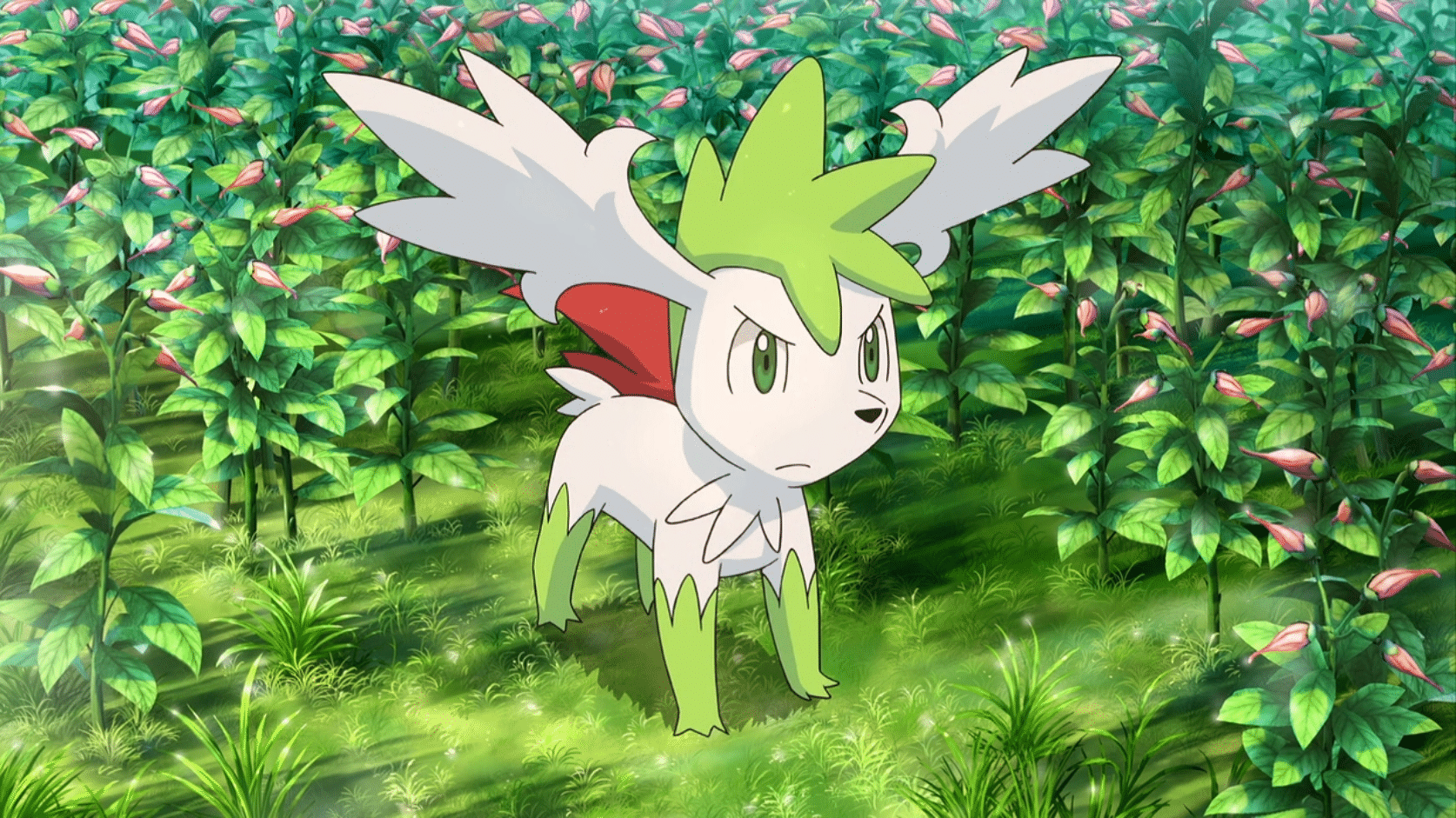 Shaymin ya tiene su propia mascota Pokémon oficial en Japón y nuevo proyecto de aviones de Pokémon llamado Flying Pikachu Project