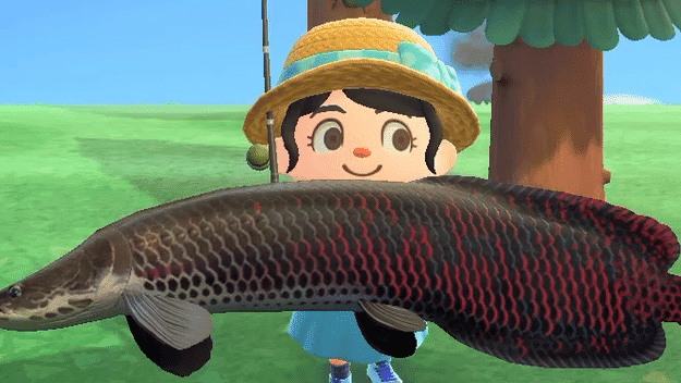 Jugadora se vuelve viral al soltar así peces grandes en Animal Crossing: New Horizons