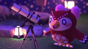 Nos muestran esta increíble vela de Estela inspirada en Animal Crossing: New Horizons
