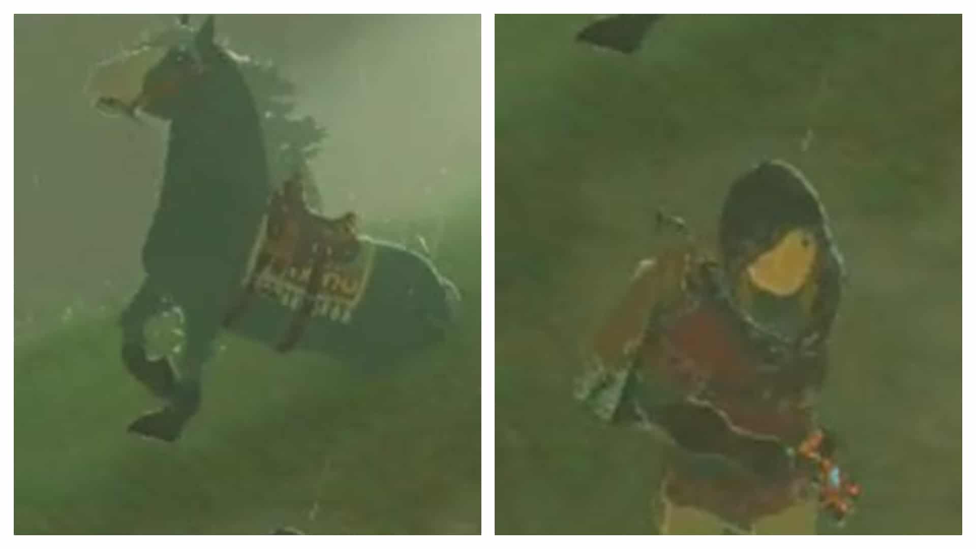 Jugador de Zelda: Breath of the Wild muestra cómo su caballo salió de debajo de la tierra