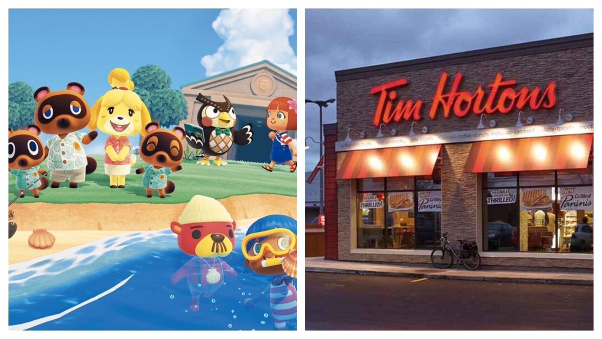 Recrean una genial cafetería Tim Hortons en Animal Crossing: New Horizons