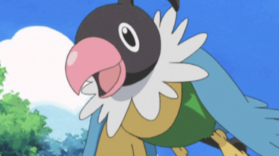 Descubre el movimiento de Chatot que provocó su baneo del online a pesar de no ser un Pokémon poderoso