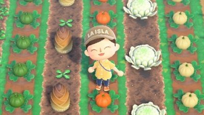 Toma inspiración de este genial huerto creado en Animal Crossing: New Horizons