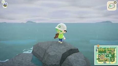 Logran subir a las rocas altas de la costa en Animal Crossing: New Horizons