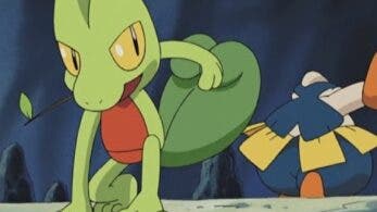 Treecko y Hariyama se enfrentan en este clip oficial en castellano de Pokémon Advanced