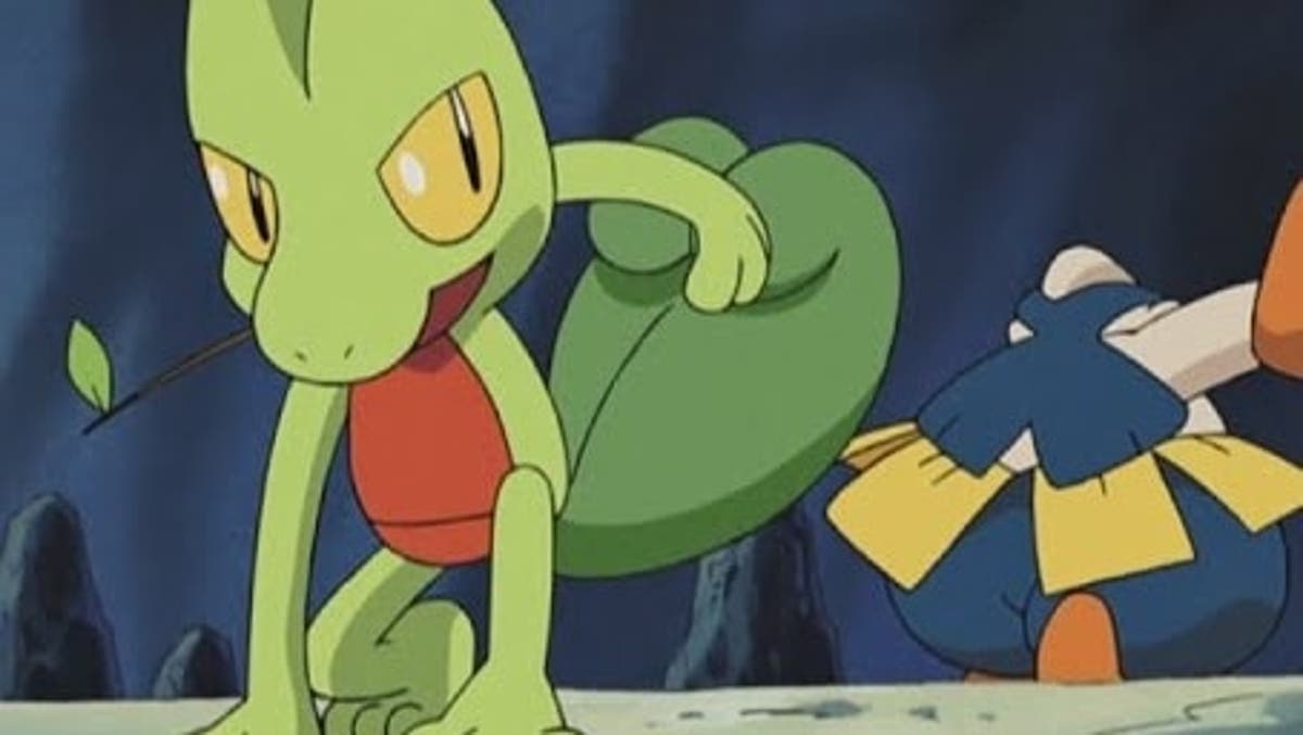 Treecko and Hariyama face each other in this official clip in Spanish of Pokémon Advanced - Ruetir.com