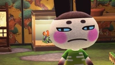 Fan de Animal Crossing: New Horizons crea un genial dohyō de sumo en su isla