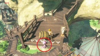 Nuevo glitch de Zelda: Breath of the Wild convierte a Link en un imán: lo están usando para abarrancar personajes y más