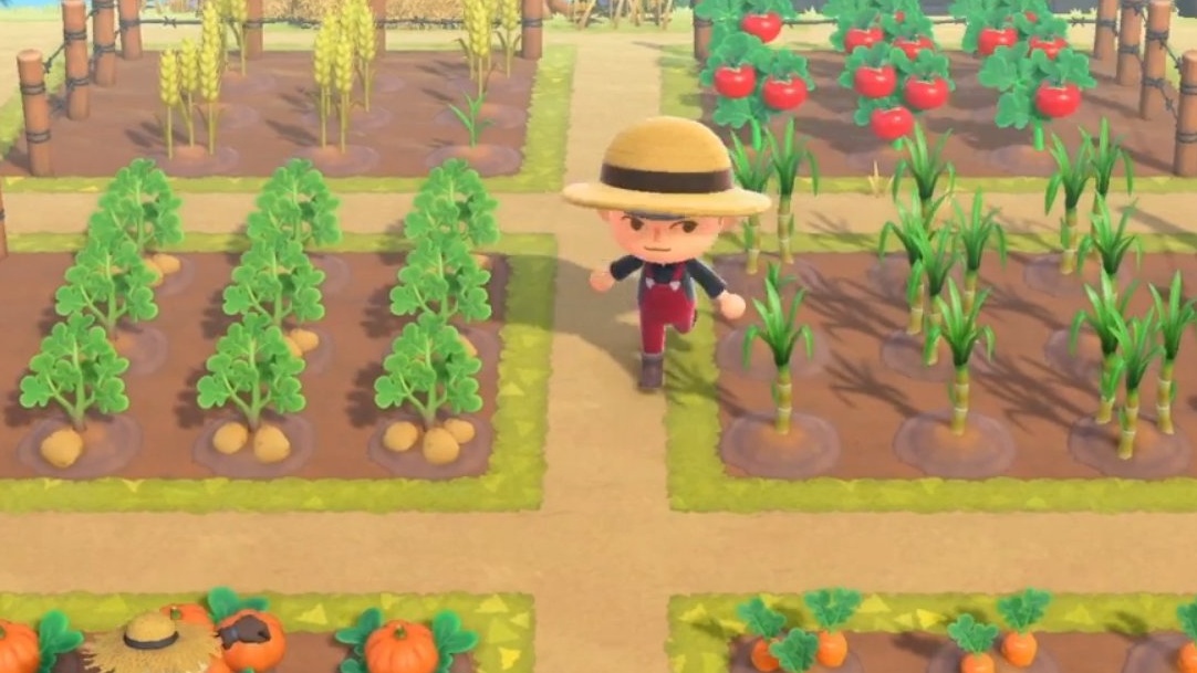 Animal Crossing
