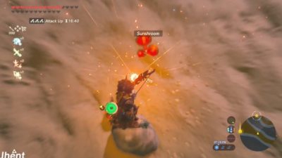 Jugador de Zelda: Breath of the Wild usa casi todas las mecánicas del juego en este espectacular combate