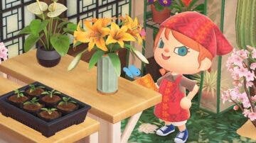 Cómo pulir, lista completa de efectos y más en Animal Crossing: New Horizons – Happy Home Paradise