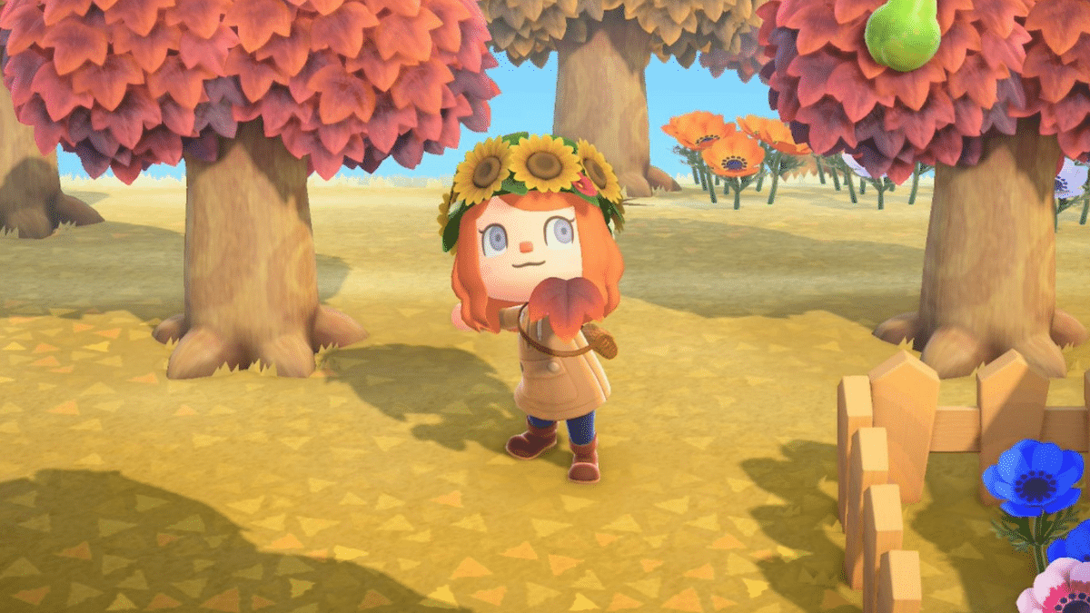 Animal Crossing