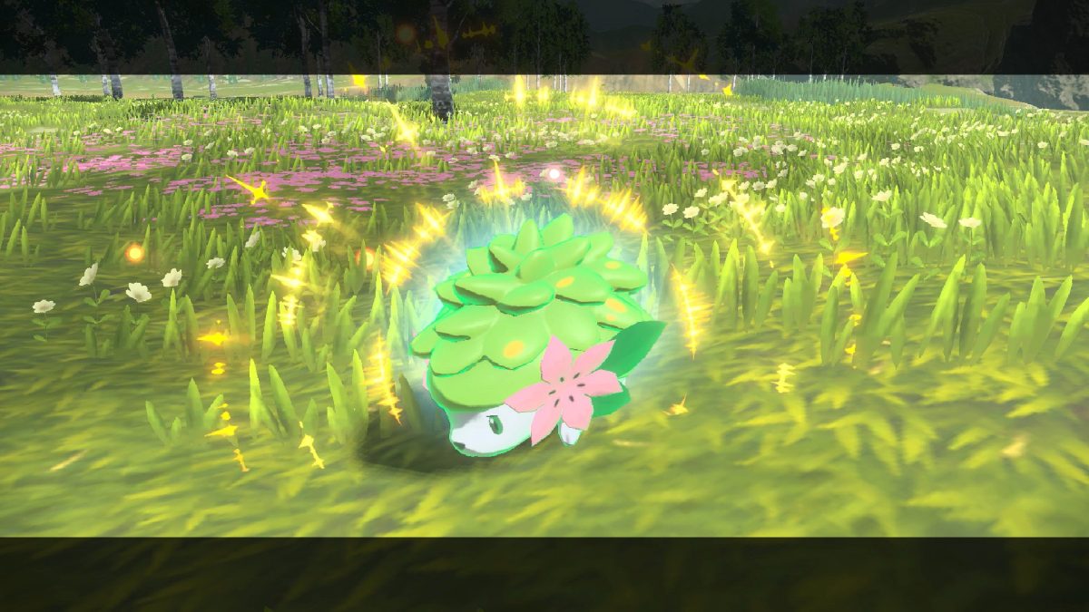 regalo Leyendas Pokémon