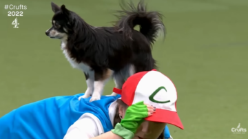 Perra y Entrenadora sorprenden con esta actuación de Pokémon en una competición canina