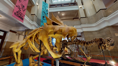 Ya puedes visitar virtualmente el Museo de Fósiles Pokémon oficial