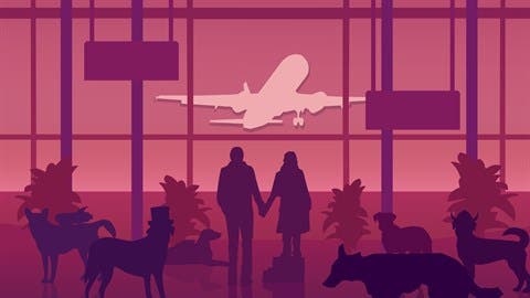 An Airport for Aliens Currently Run by Dogs, BPM: Bullets Per Minute, Majestic Majolical y Railgrade concretan sus estrenos en Nintendo Switch