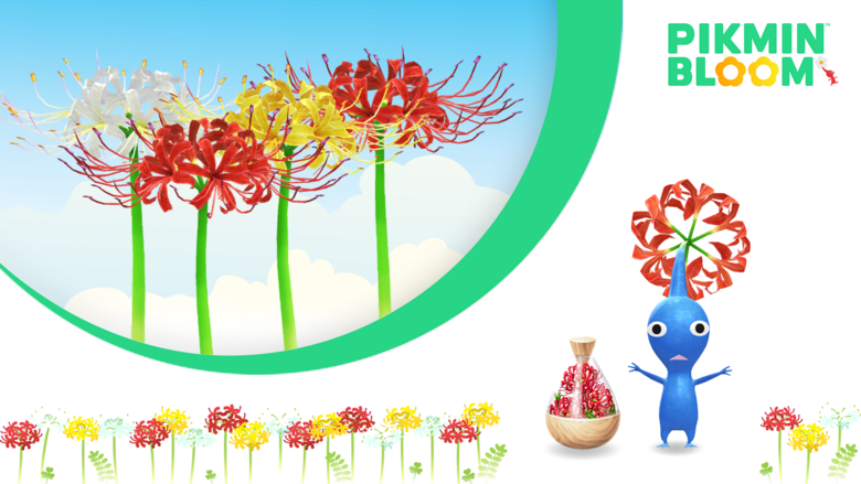 Las flores del infierno protagonizan las novedades de septiembre en Pikmin Bloom