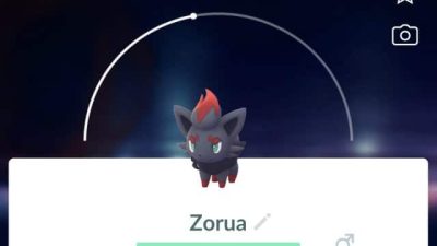Pokémon GO Zorua