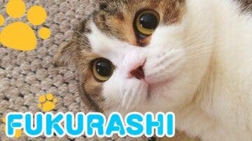 Masahiro Sakurai comparte un vídeo dedicado exclusivamente a su gata Fukurashi