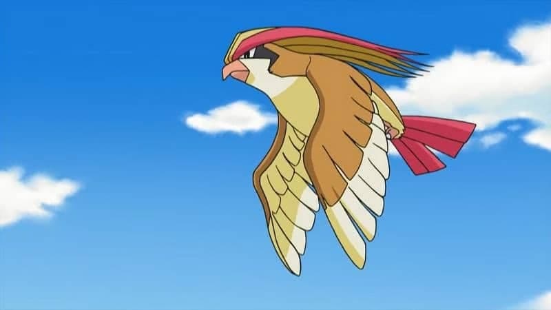 Esta increíble animación de Pokémon creada por un fan muestra a Pidgeot como si fuera un Pokémon legendario - Nintenderos
