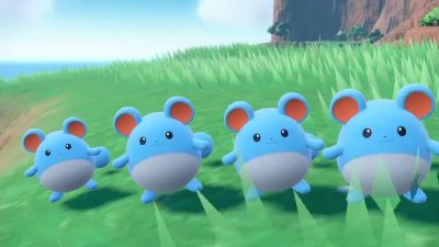 Jugador es emboscado por un grupo de Marill mientras prepara su comida en Pokémon Escarlata y Púrpura