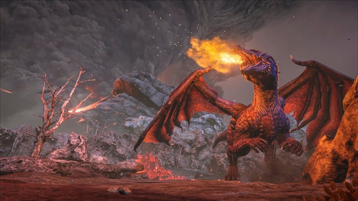 Ark