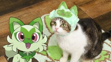 Anunciada colección Pokémon de artículos para gatos inspirada en Sprigatito