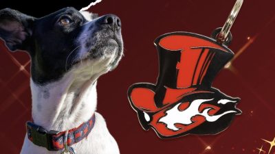 Pawsonify lanza una línea de productos para mascotas con temática de Persona 5 Royal