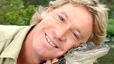 Imaginan cómo podría verse Steeve Irwin como un entrenador Pokémon