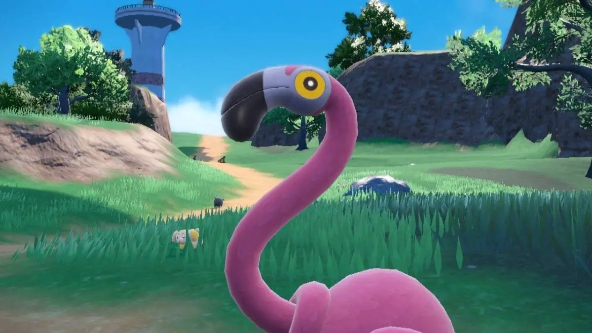 Flamigo