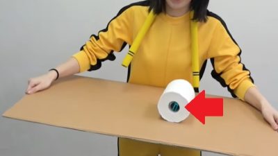 Este título requiere meter un Joy-Con en un rollo de papel higiénico y acaba de llegar a Nintendo Switch