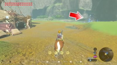 Zelda Tears