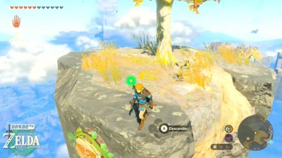 Zelda Tears