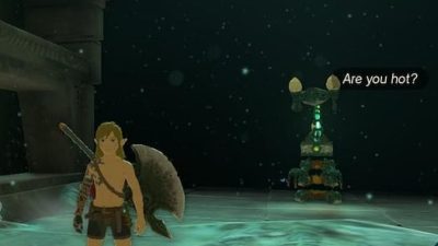 Zelda Tears