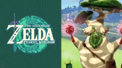 Zelda Tears
