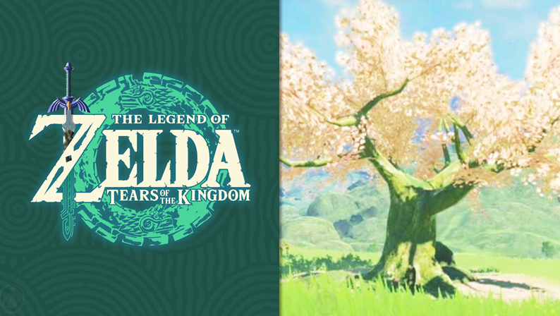 Zelda Tears guía